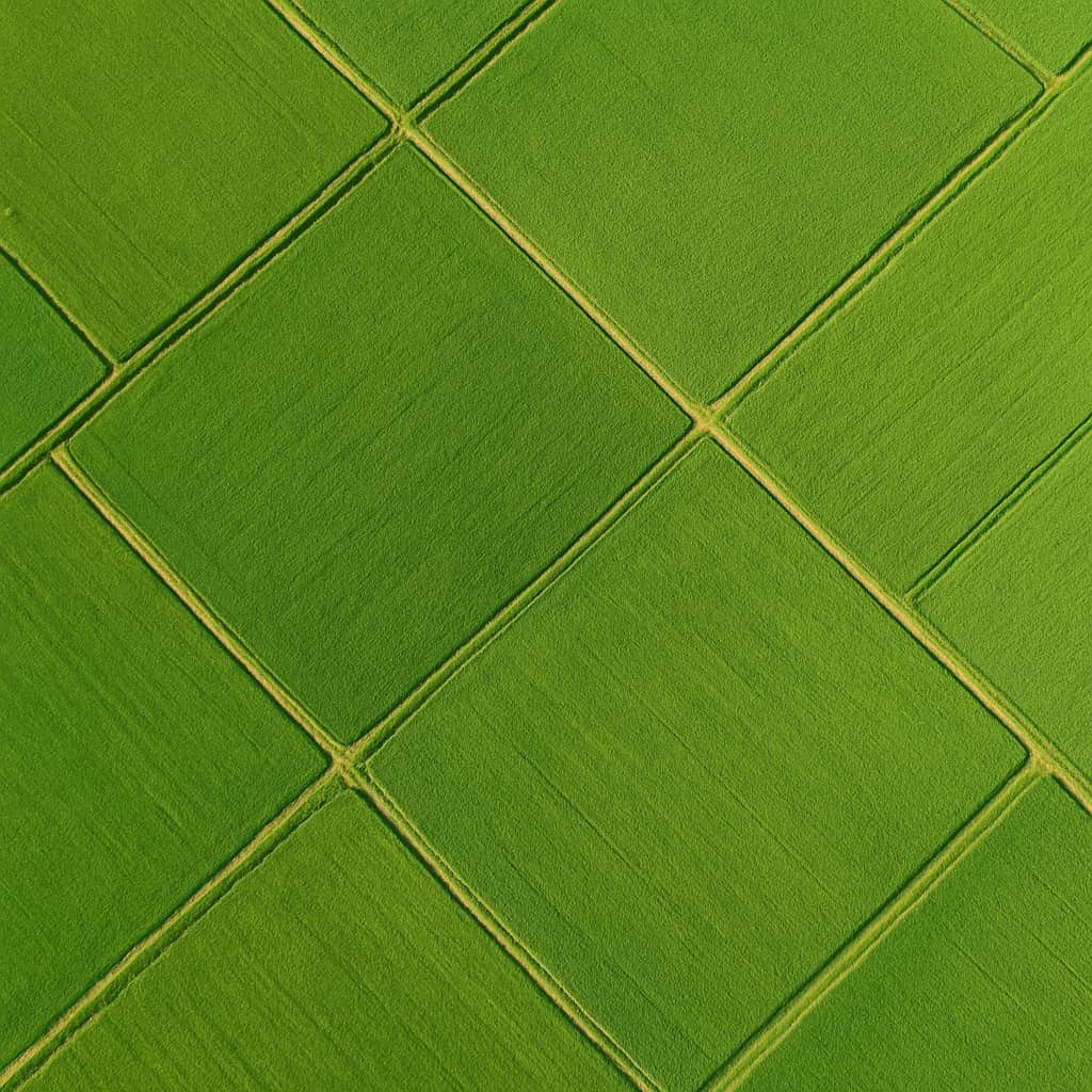 Aerial view of a green field plot of land